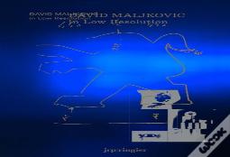 David Maljkovic: In Low Resolution