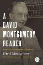 David Montgomery Reader - Preview
