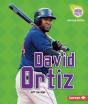 David Ortiz - Preview