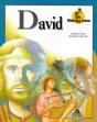 David T.15 - Preview