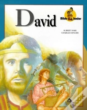 Capa do artigo David T.15