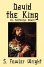 David The King: An Historical Novel - Preview
