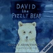 David The Pizzly Bear