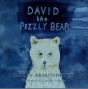 David The Pizzly Bear - Preview