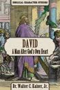 David - Preview