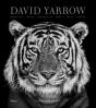 David Yarrow Photography - Preview