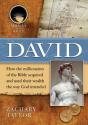 David - Preview