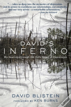 Capa do artigo David'S Inferno