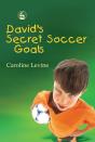David'S Secret Soccer Goals - Preview