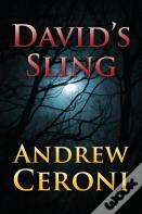 David'S Sling