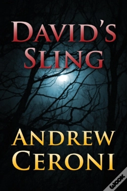 Capa do artigo David'S Sling