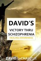 David'S Victory Thru Schizophrenia