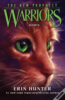 Capa do artigo Dawn