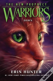 Capa do artigo Dawn