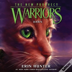 Capa do artigo Dawn