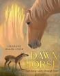 Dawn Horse - Preview