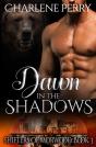 Dawn In The Shadows - Preview