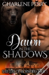 Dawn In The Shadows