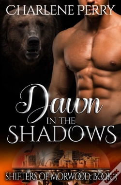 Capa do artigo Dawn In The Shadows