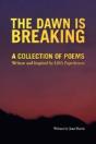 Dawn Is Breaking - Preview