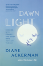 Dawn Light - Preview