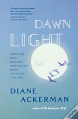 Capa do artigo Dawn Light