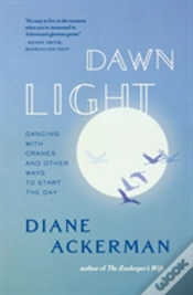Capa do artigo Dawn Light