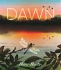 Dawn - Preview
