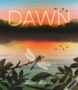 Capa do artigo Dawn