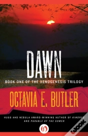 Capa do artigo Dawn