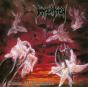 Dawn of Possession - CD - Preview