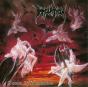 Dawn Of Possession - Vinil - Preview