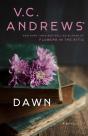 Dawn - Preview