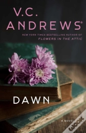 Dawn