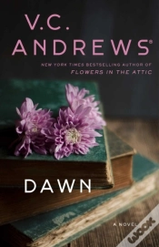Capa do artigo Dawn