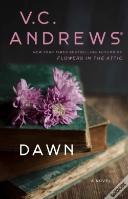 Capa do artigo Dawn