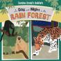 Day And Night In The Amazon Rainforest - Preview