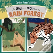 Capa do artigo Day And Night In The Amazon Rainforest