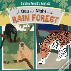 Capa do artigo Day And Night In The Amazon Rainforest