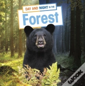 Day And Night In The Forest