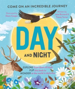 Capa do artigo Day And Night