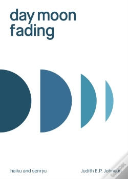 Capa do artigo Day Moon Fading