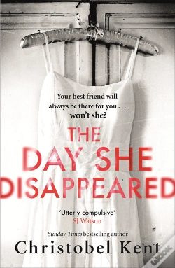 Capa do artigo Day She Disappeared