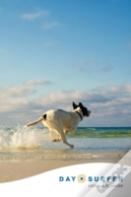 Day Surfer Login Organizer (Dog Running On The Beach)