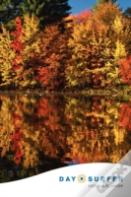Day Surfer Login Organizer (Fall Colors)