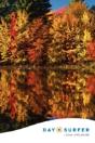 Day Surfer Login Organizer (Fall Colors) - Preview