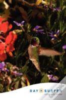Day Surfer Login Organizer (Hummingbird)