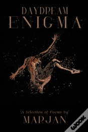 Capa do artigo Daydream Enigma