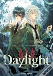 Capa do artigo Daylight