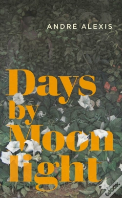 Capa do artigo Days By Moonlight